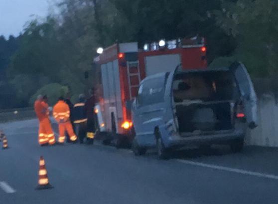 Cadavere impiccato a un albero vicino alla Fi-Pi-Li: era lì da almeno 4 mesi