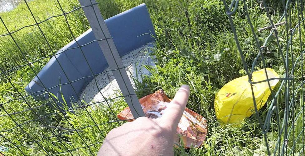 Anche le anatre tradite dal maxi flop di cemento armato 