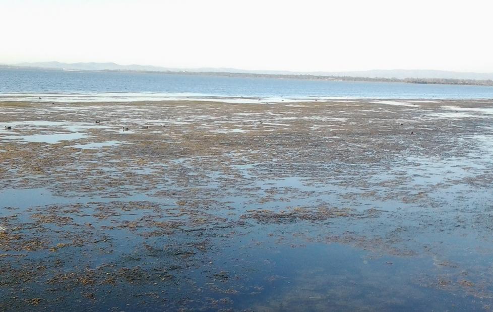 Pompaggio d’acqua in laguna slitta l’affidamento del servizio