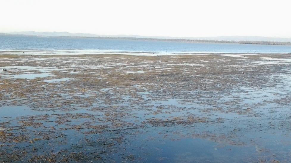 Pompaggio d’acqua in laguna slitta l’affidamento del servizio