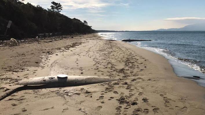 La spiaggia riconquista dieci metri