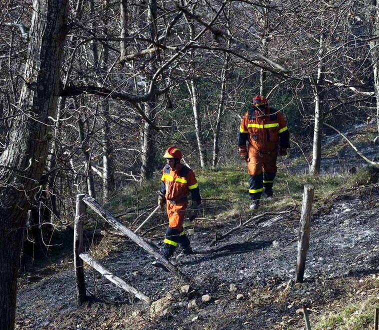 Fiamme nel bosco due ettari in cenere