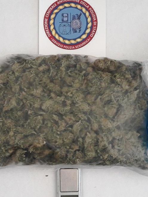 Un giovane ai domiciliari per detenzione di droga