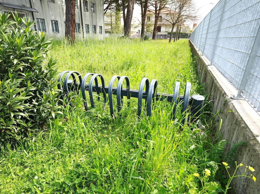 La storia d’Empoli avvolta nella vegetazione 