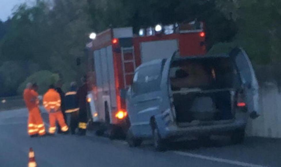 Trovato morto nella boscaglia