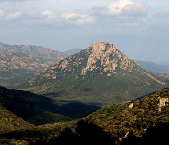 Sviluppo zone interne: oggi Paci a Bitti e Oliena 