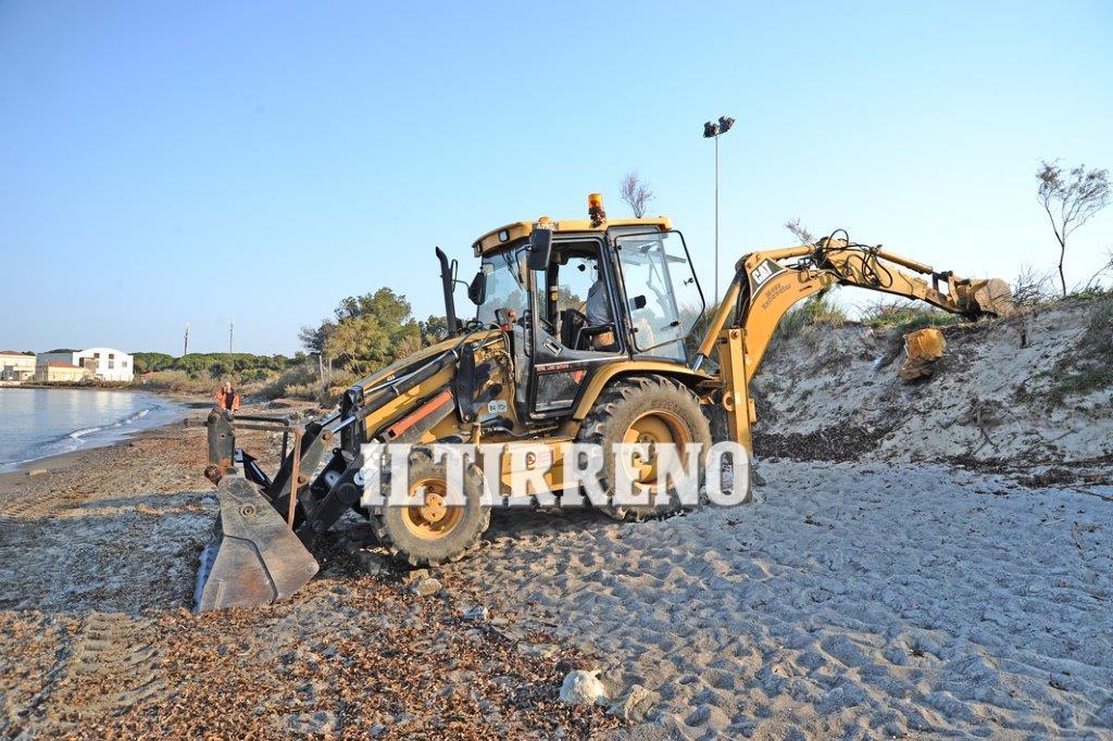 La rimozione del divano dalle dune  (foto Falorni/Silvi)