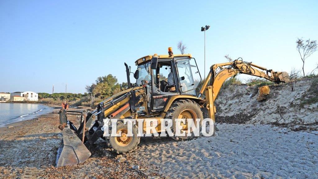 La rimozione del divano dalle dune (foto Falorni/Silvi)