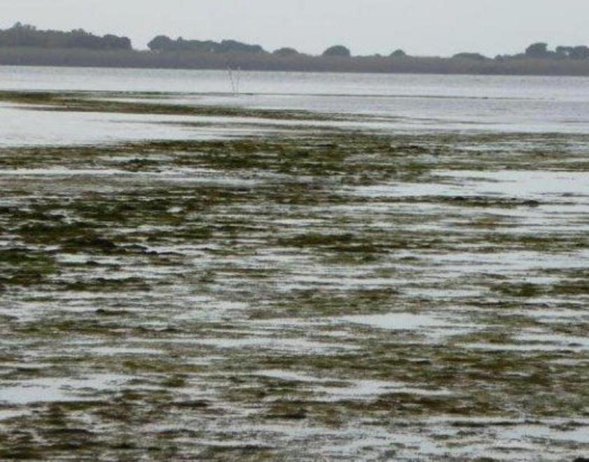 Laguna, i primi interventi a maggio 