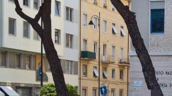 «Quel cane è saltato sul mio passeggino»