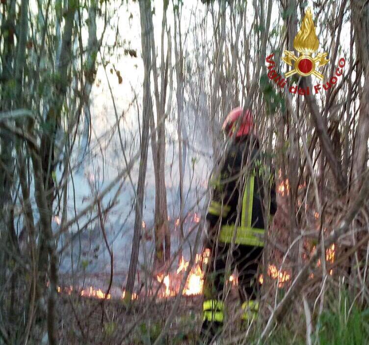 Due incendi dolosi nei boschi 