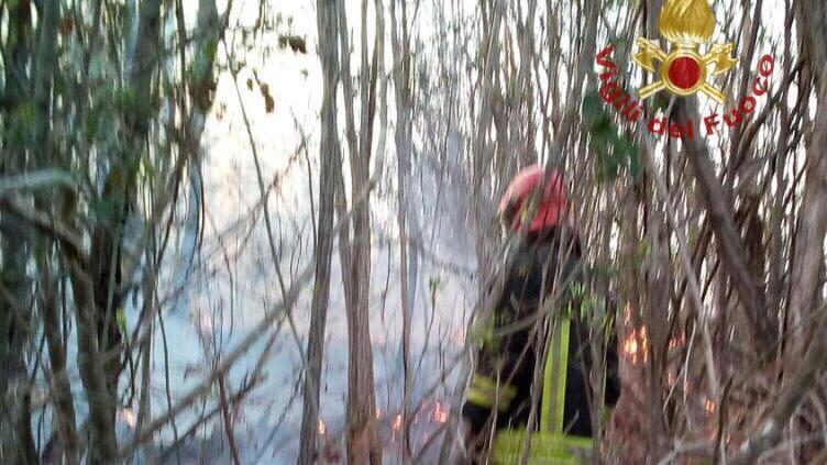 Due incendi dolosi nei boschi