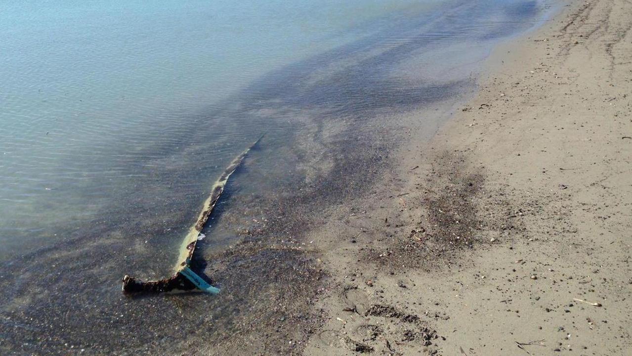 Le ruspe liberano la spiaggia rimosso il divano