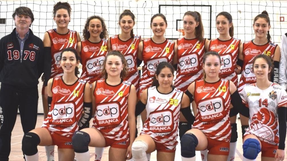 tutto volley