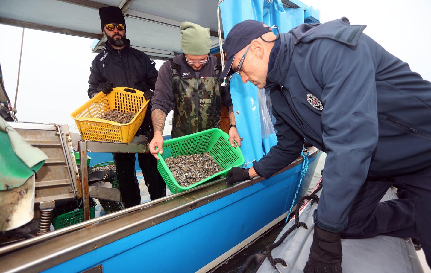 «Azioni omogenee per la pesca  nell’Alto Adriatico» 