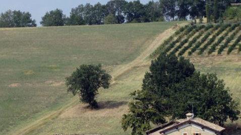 "Trekking letterario” a Castelvetro: leggendo le colline, al passo con Galeano