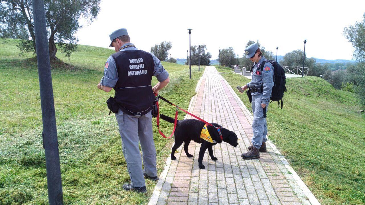 Il nucleo cinofili antiveleno in azione a Istia. Il cane nella foto è Titan (foto del Comando carabinieri forestale, gruppo di Grosseto)