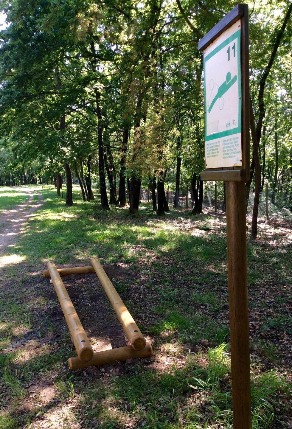 Viaggio nel cuore della Riserva naturale di Montefalcone