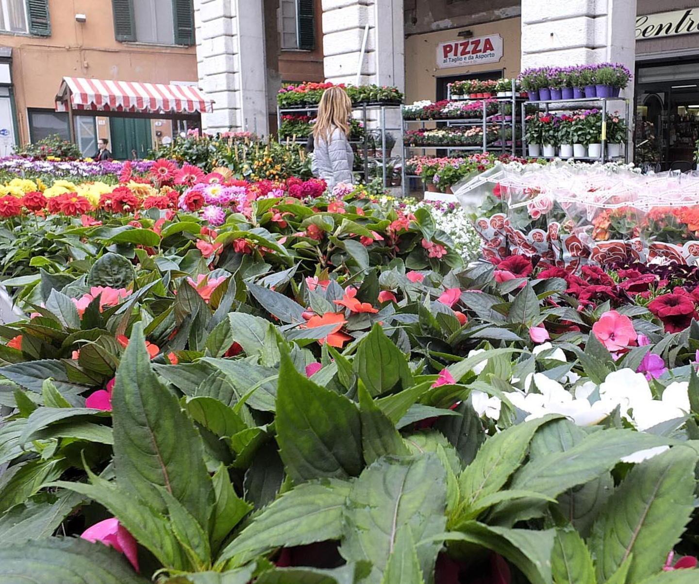 Il centro storico si trasforma in un giardino 