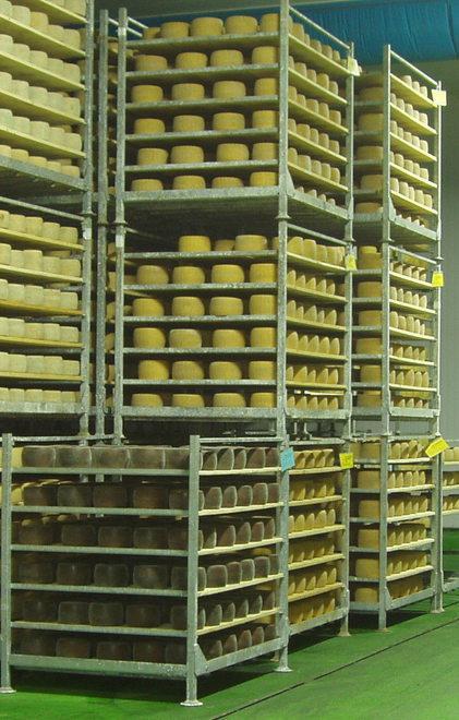 Vertenza pecorino: la Regione parte civile 
