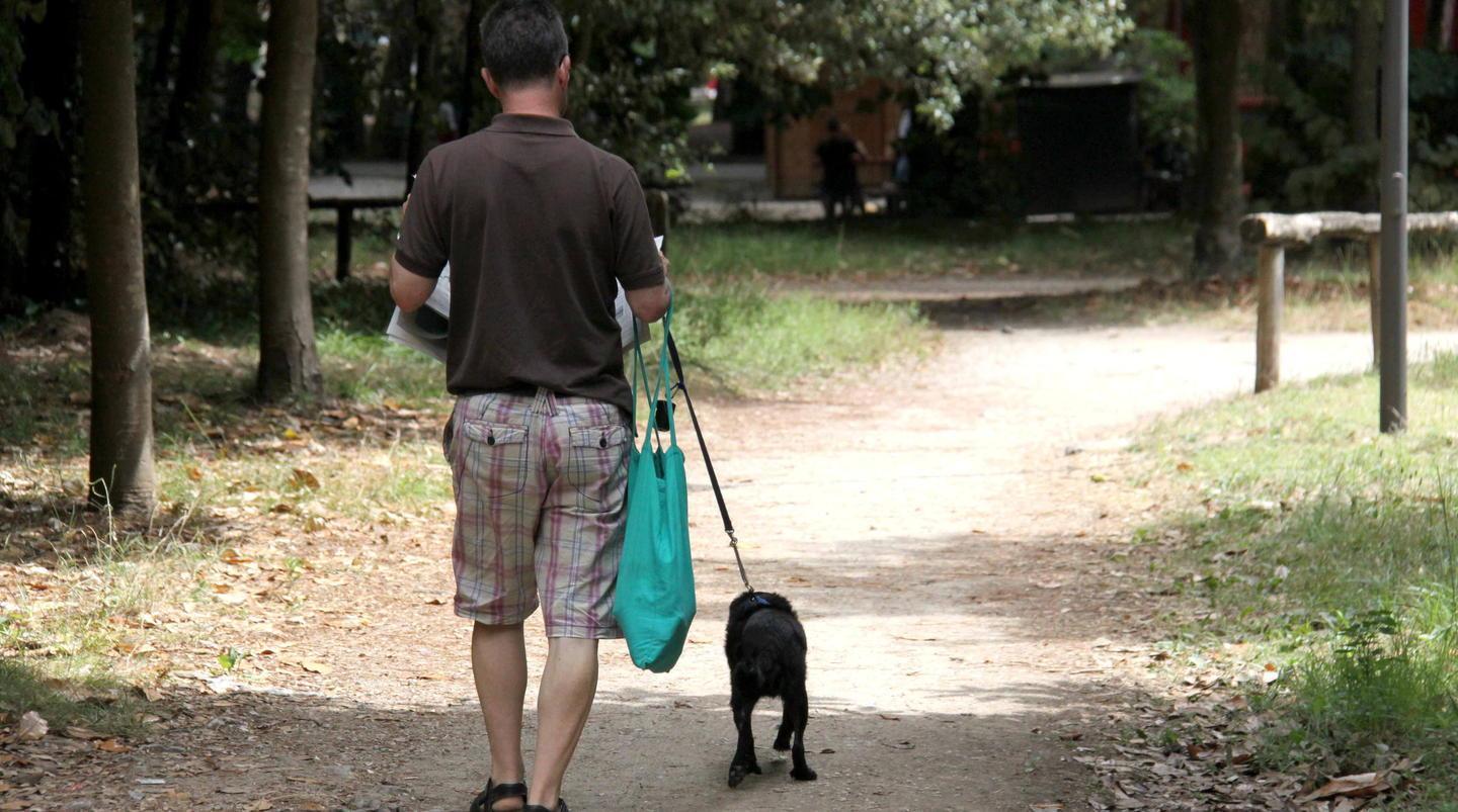 Cani senza guinzaglio in pineta «Facciamo rispettare le leggi»