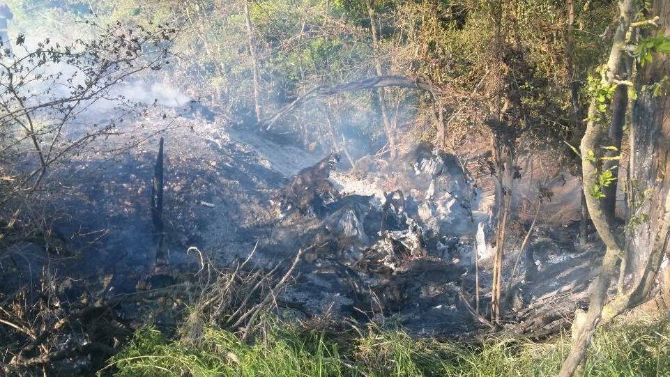 In fiamme una porzione di bosco