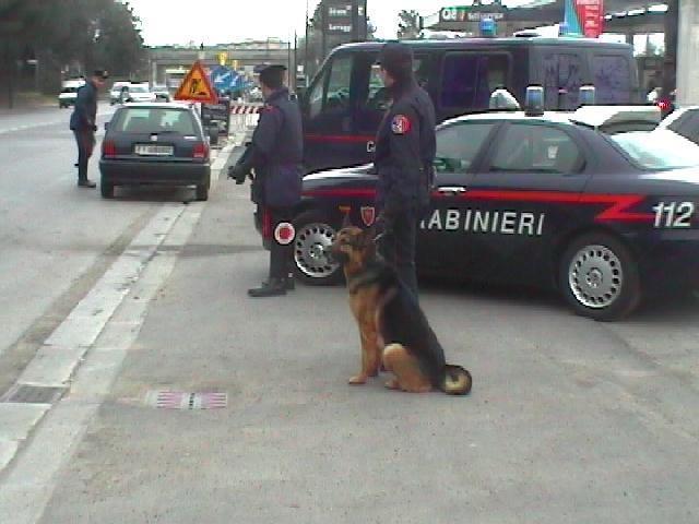 Un controllo con i cani antidroga dei carabinieri  