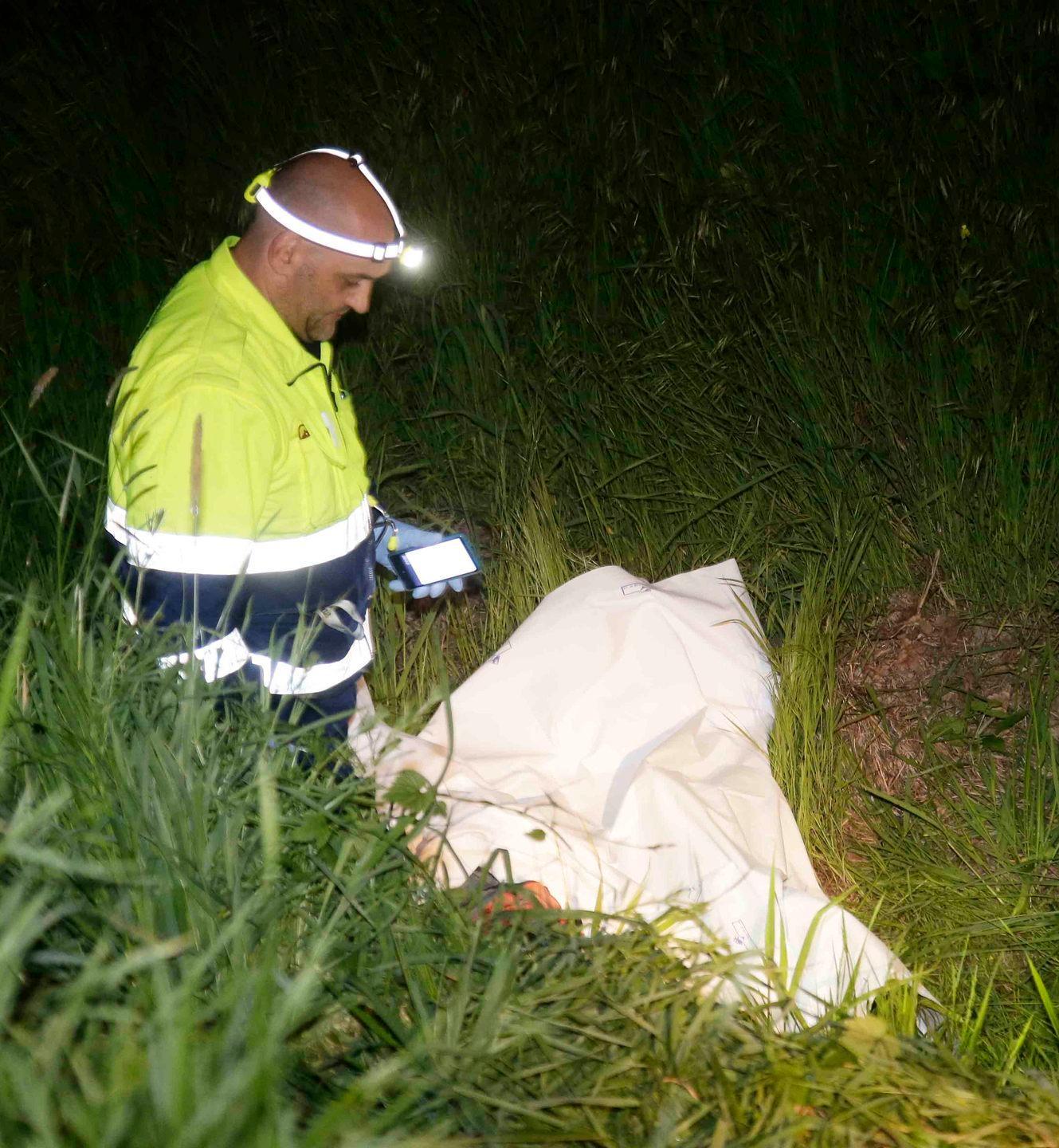 Reggio Emilia, travolta e uccisa da un’auto pirata  