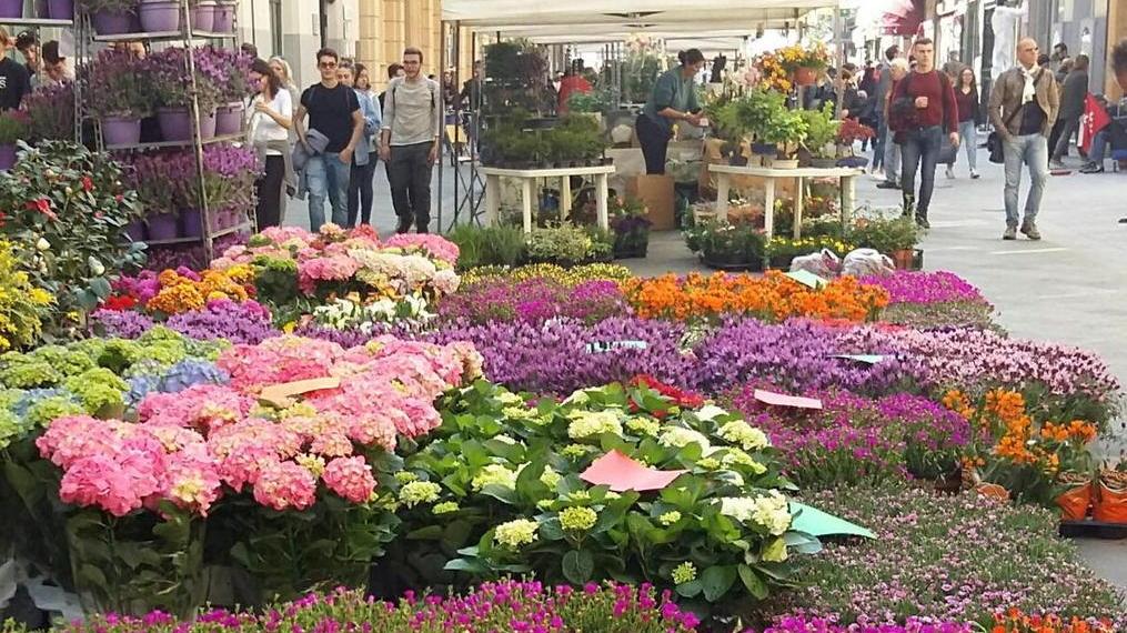 Uno scenario verde da Borgo Largo fino a piazza Vittorio