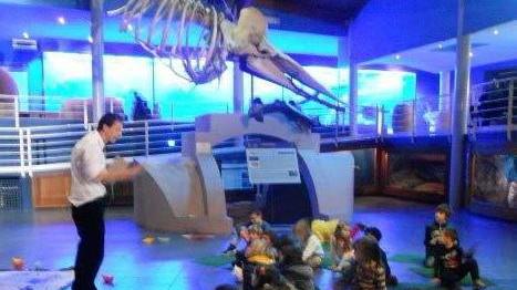 E il Museo di storia naturale festeggia il boom di visitatori