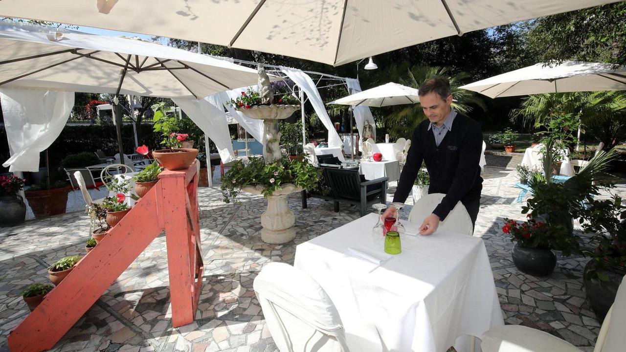 “Profumo” di pineta a tavola
