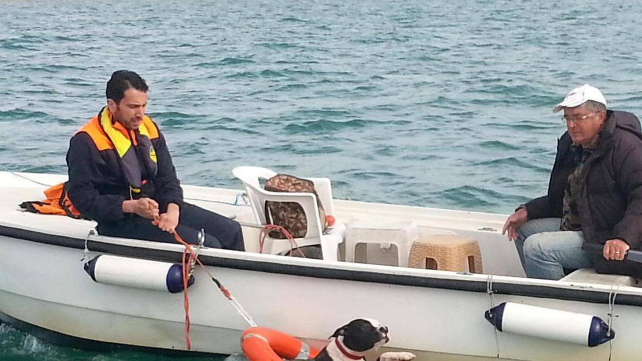 Pitbull rischia di annegare Salvo grazie alla Capitaneria