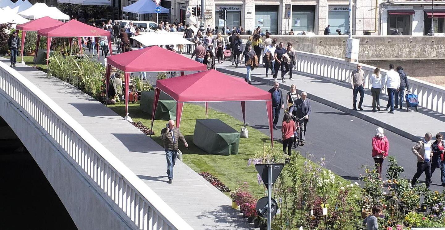 Verde e arte nelle strade con Fior di Città 