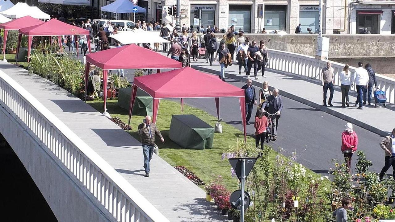 Verde e arte nelle strade con Fior di Città