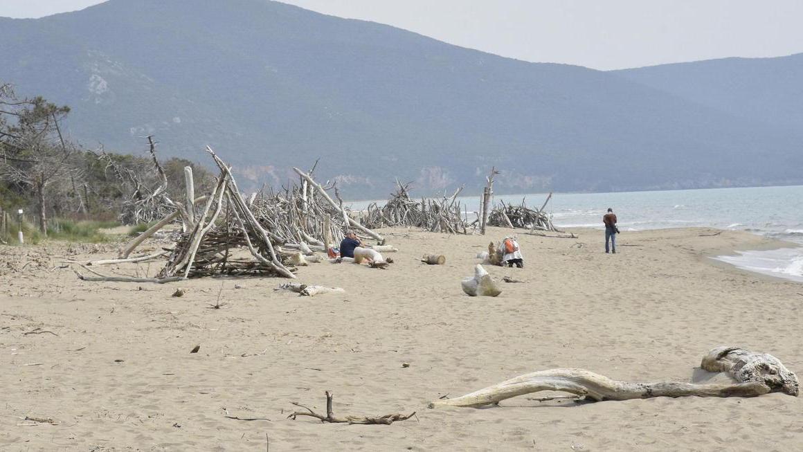 Tronchi, parcheggi, nudisti Nodi da sciogliere a Marina