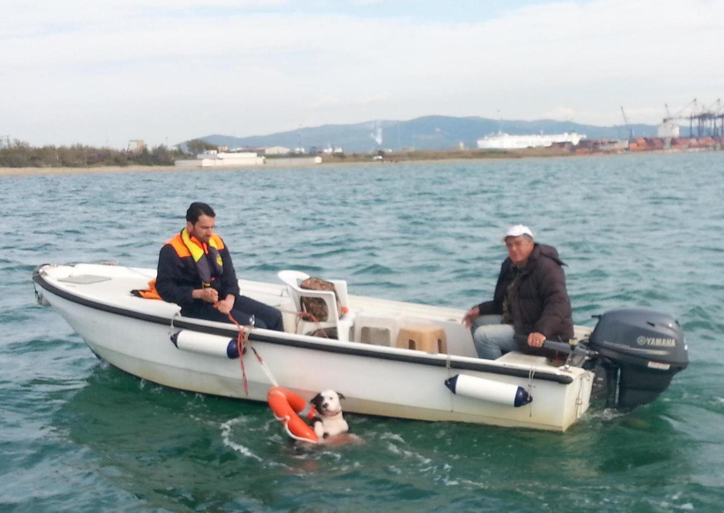 Cane stava per annegare salvato dalla Capitaneria