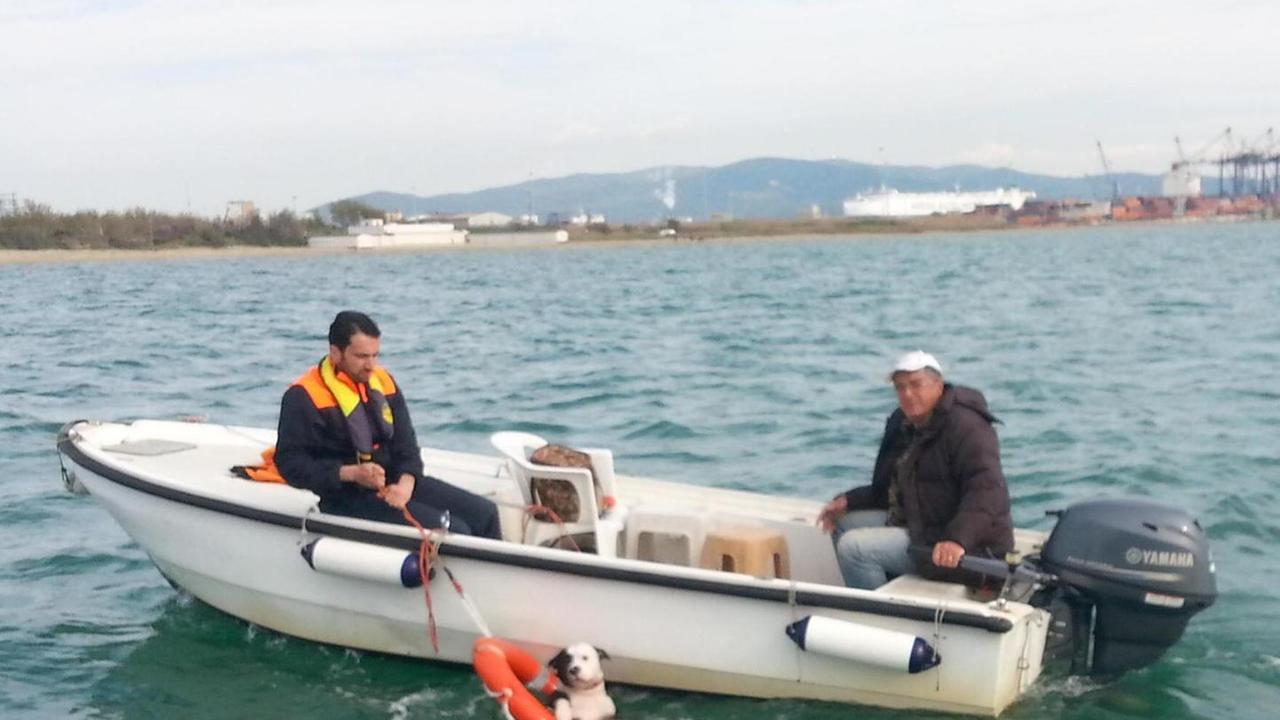 Cane stava per annegare salvato dalla Capitaneria