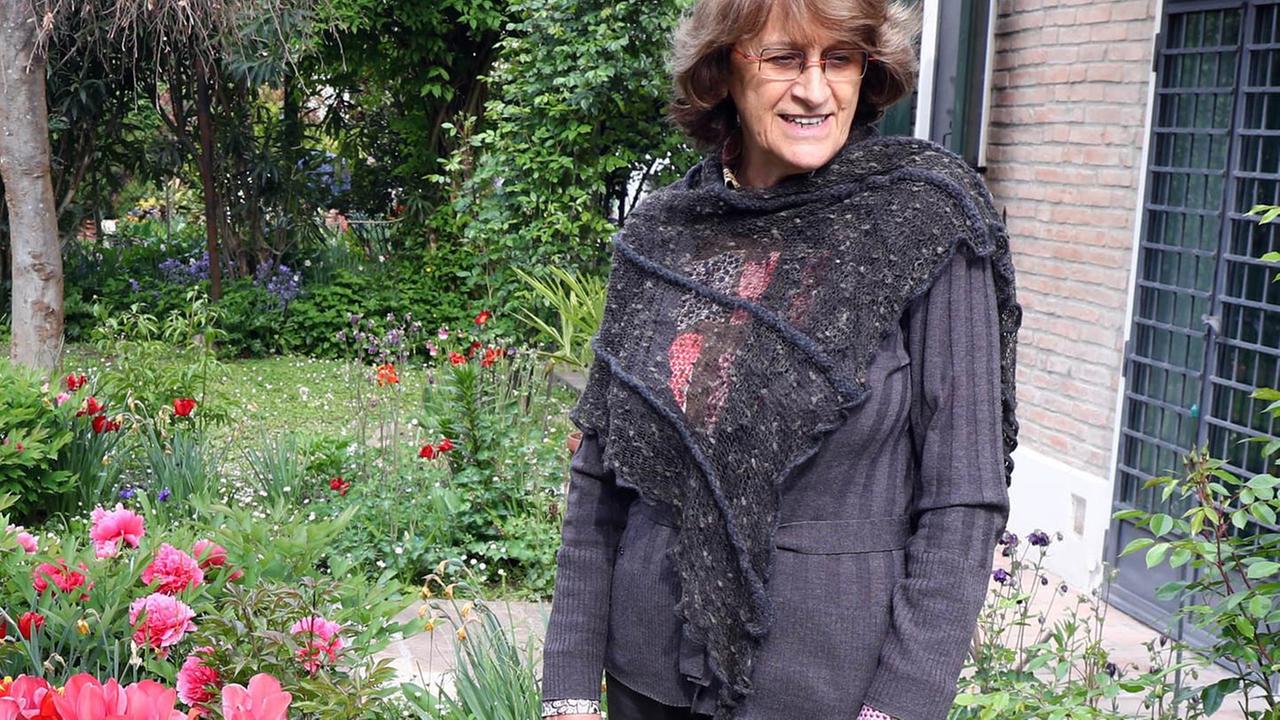 Un enorme parco con tante piante di frutta