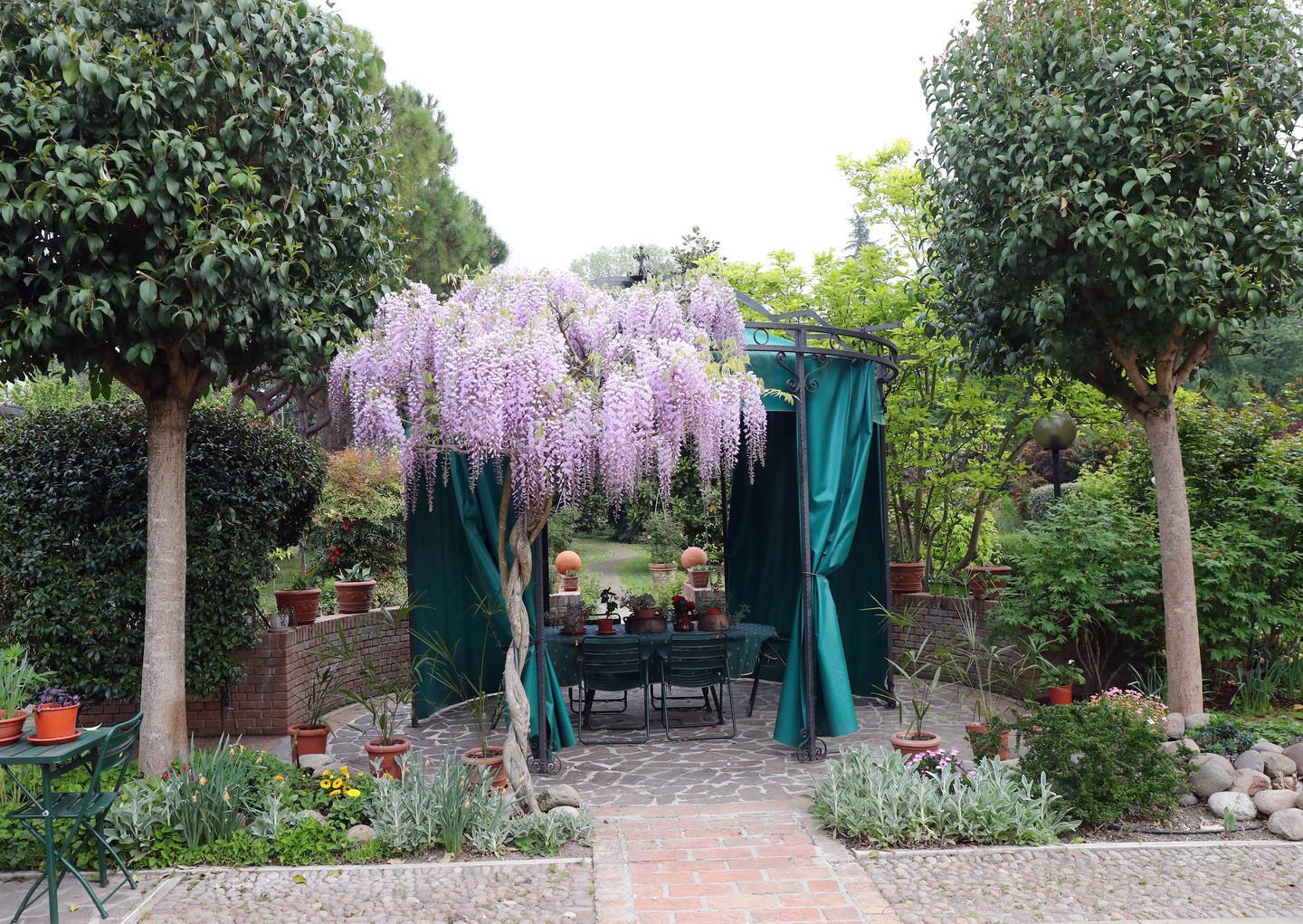 Il mondo segreto dei giardini ferraresi 