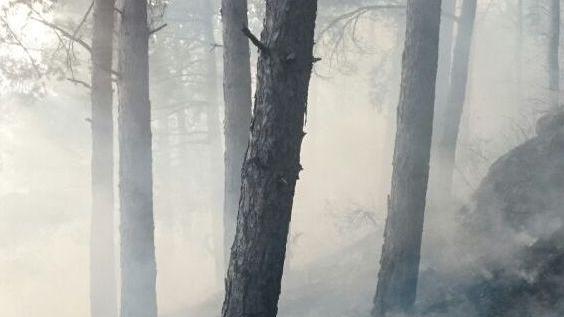 Due incendi nel sottobosco Torna l’incubo del piromane