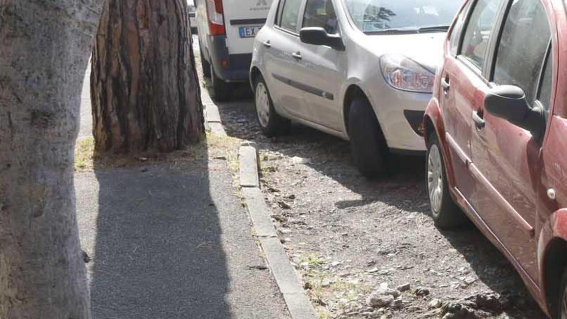 «Sosta selvaggia ovunque, pensiamo alle strisce blu»