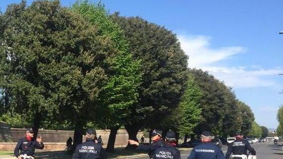Altri 15 mezzi rimossi in zona gialla