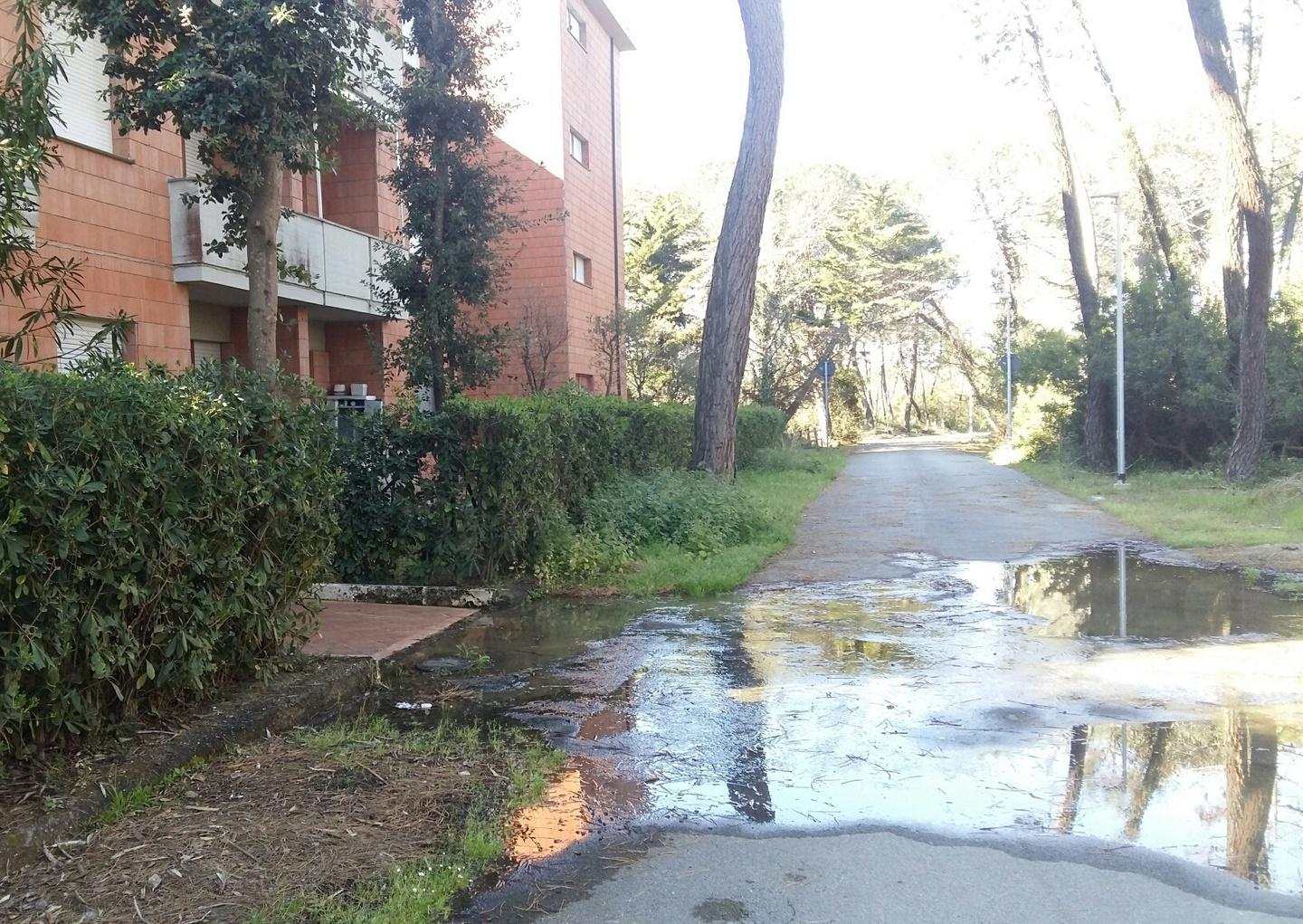 Perdita d’acqua da due settimane 