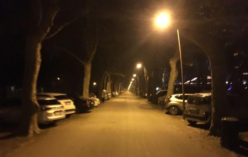 La pineta diventa un parcheggio 