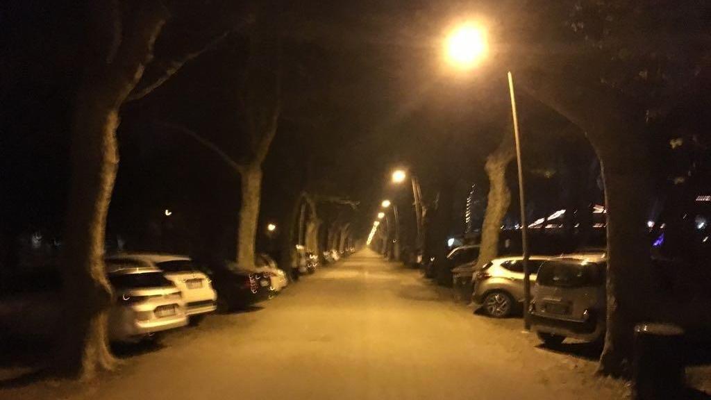 La pineta diventa un parcheggio