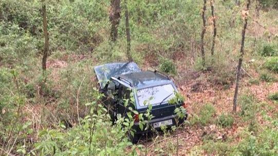 Cade mentre l’auto... va nel bosco