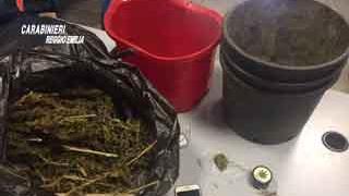 Rubiera, scoperto con la droga tenta la fuga e ruba la bici a una donna: arrestato