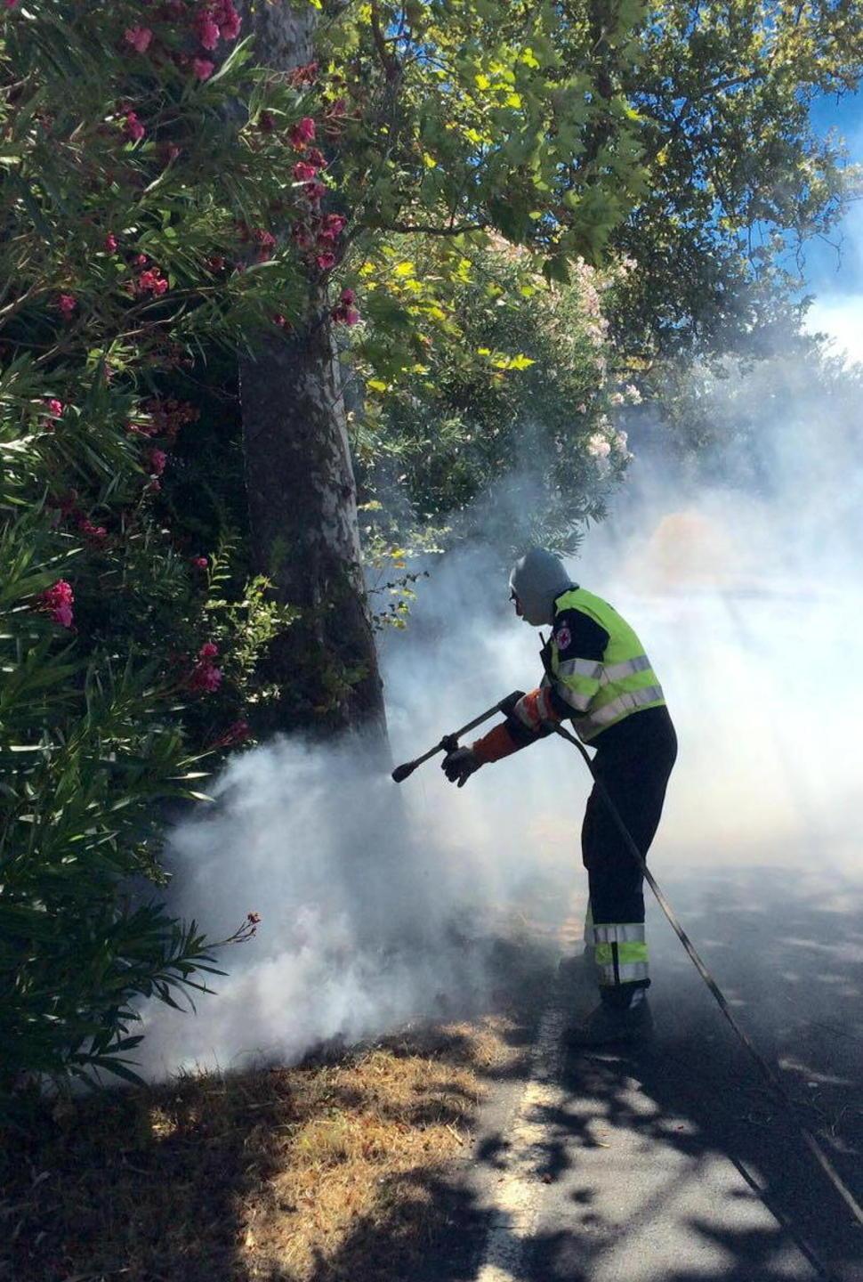 Fiamme tra la Variante e la Tirrenica, distrutto un bosco