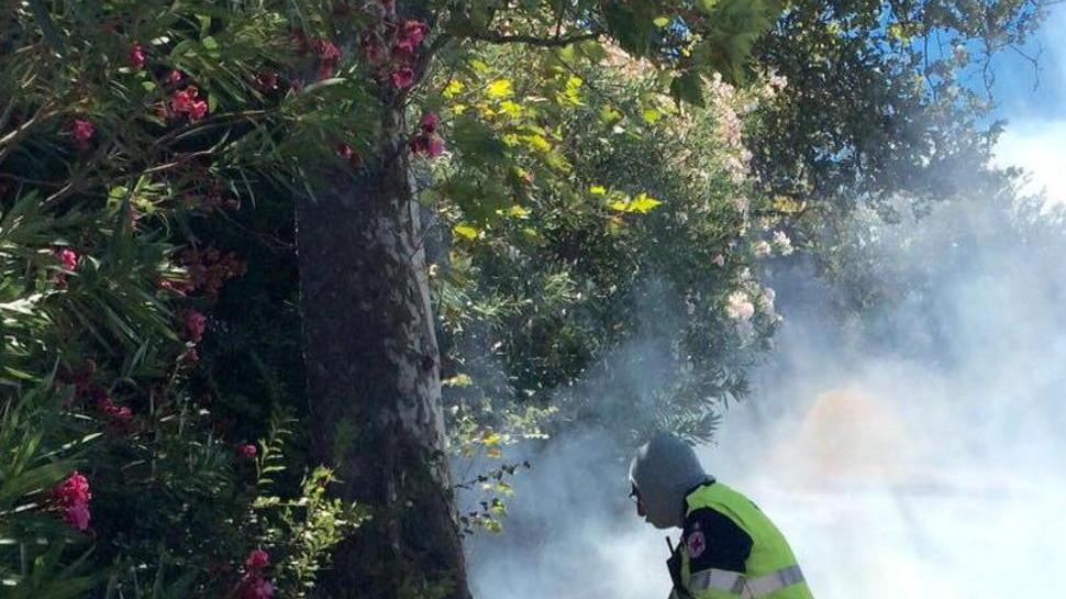 Fiamme tra la Variante e la Tirrenica, distrutto un bosco