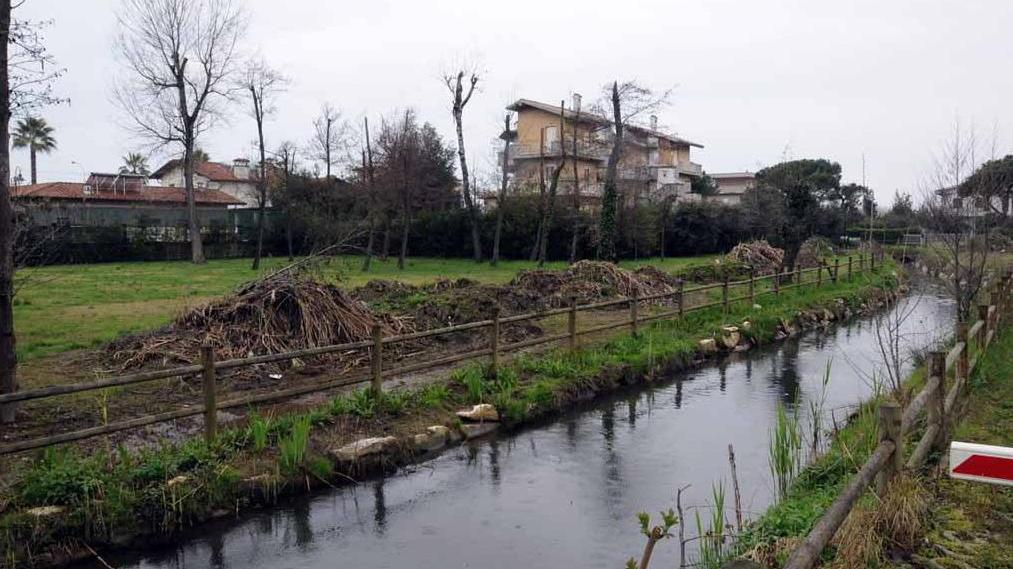 «Dannosa la nuova foce del Canalmagro»